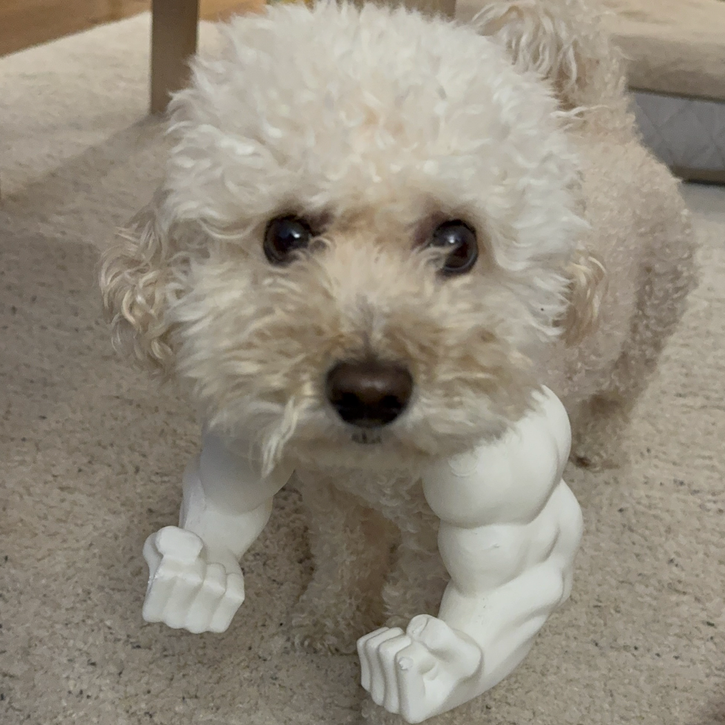 Buff Arms Pet Costume