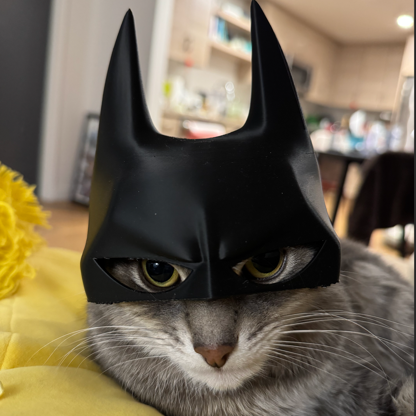 Batcat Cat Mask